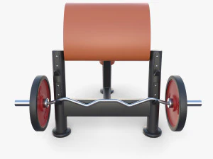 Curl bench 3D Model