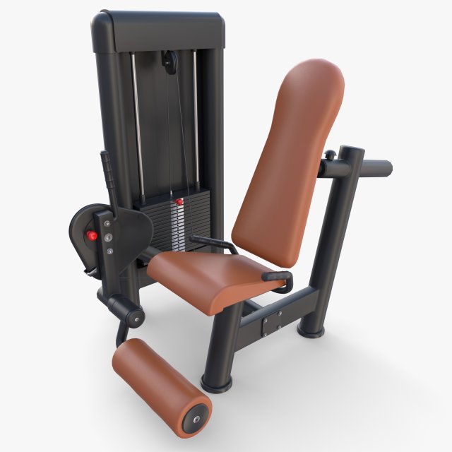 Leg extension machine 3D Model .c4d .max .obj .3ds .fbx .stl .blend 