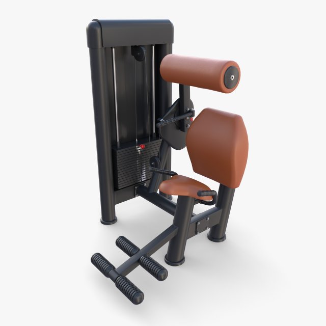 Lower back machine 3D Model .c4d .max .obj .3ds .fbx .stl .blend 