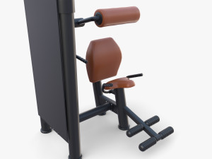 Lower back machine 3D Model