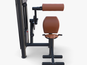 Lower back machine 3D Model