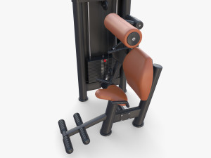 Lower back machine 3D Model