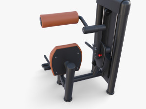 Lower back machine 3D Model