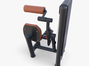 Lower back machine 3D Model