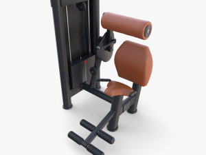 Lower back machine 3D Model