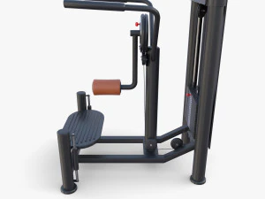 Multi hip machine 3D Model