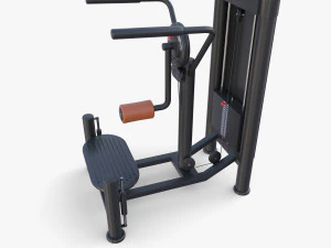 Multi hip machine 3D Model