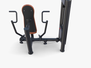 Vertical chest machine 3D 模型