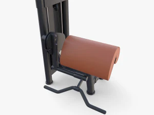 Curl machine 3D Model