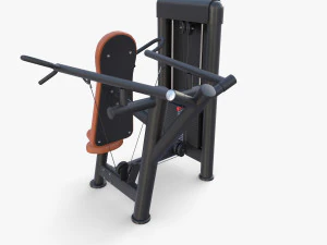 Deltoid press machine 3D Model