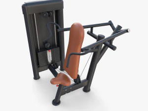 Deltoid press machine 3D Model