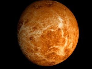 animated 2k venus model 3D Model
