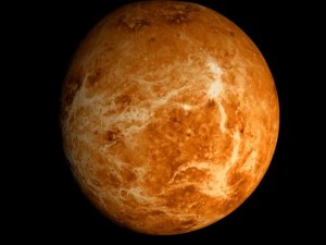 animated 2k venus model 3D Model