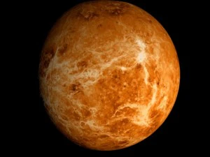 animated 2k venus model 3D Model