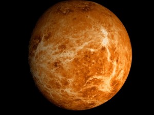 animated 2k venus model Model 3D