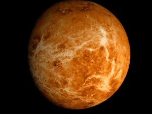 animated 2k venus model 3D Model