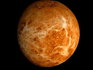 animated 2k venus model Model 3D