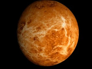 animated 2k venus model 3D Model