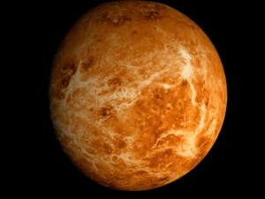 animated 2k venus model 3D Model