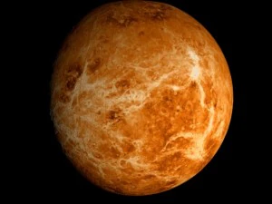 animated 2k venus model 3D Model