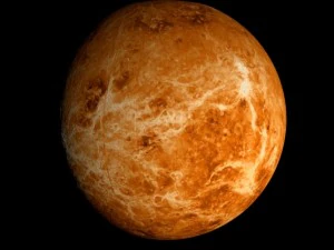 animated 2k venus model 3D Model