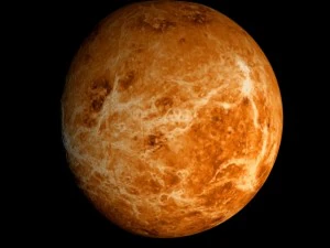 animated 2k venus model 3D Model