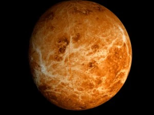 animated 2k venus model 3D Model