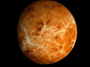 animated 2k venus model 3D Model
