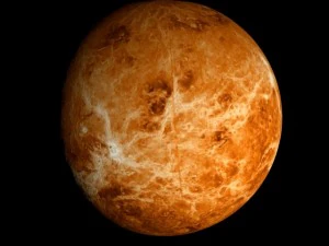 animated 2k venus model 3D Model