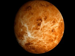 animated 2k venus model 3D Model