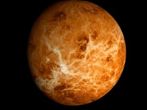 animated 2k venus model 3D Model