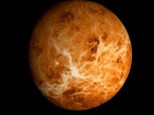 animated 2k venus model Model 3D