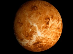 animated 2k venus model 3D Model