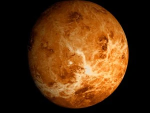 animated 2k venus model 3D Model