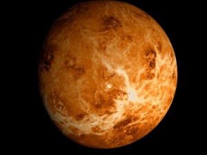 animated 2k venus model Model 3D