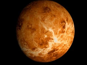 animated 2k venus model 3D Model