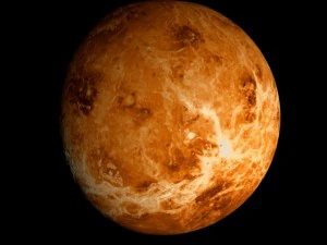 animated 2k venus model 3D Model