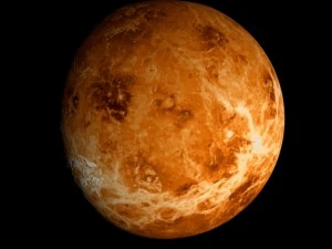 animated 2k venus model 3D Model