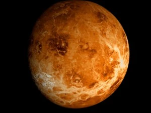 animated 2k venus model 3D Model