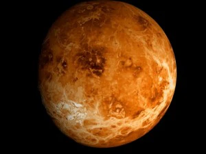 animated 2k venus model 3D Model