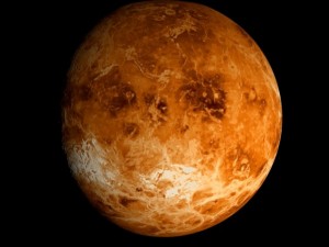animated 2k venus model Model 3D