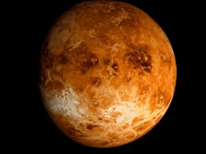 animated 2k venus model 3D Model