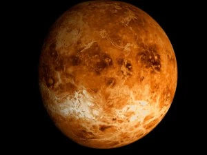 animated 2k venus model 3D Model