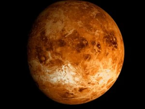 animated 2k venus model 3D Model
