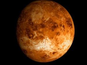 animated 2k venus model 3D Model