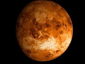 animated 2k venus model 3D Model