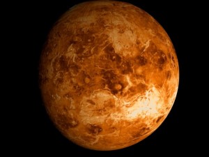 animated 2k venus model Model 3D