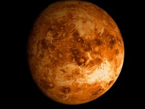 animated 2k venus model 3D Model