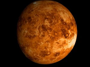 animated 2k venus model 3D Model