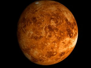 animated 2k venus model 3D Model